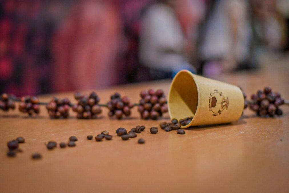 Café Robusta do Acre conquista paladares e ganha destaque internacional na 50ª Expoacre