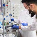 whatsapp-image-2025-07-22-at-13.59.56-1-