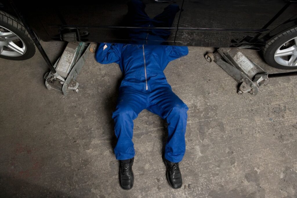 mecanico-acha-“morador”-inusitado-ao-checar-barulho-estranho-em-carro