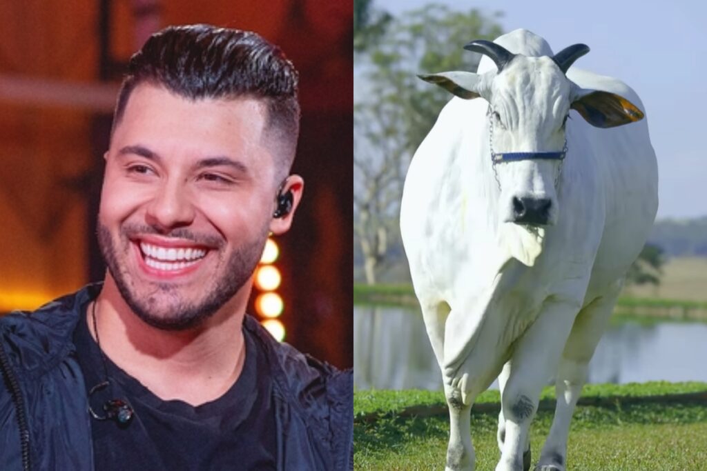 murilo-huff-explica-decisao-de-comprar-vaca-de-r$-17-milhoes