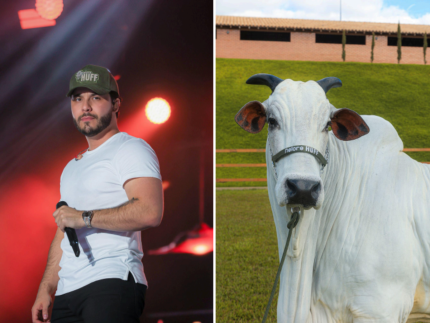 murilo-huff-investe-no-agro-e-vira-socio-de-matriz-de-raca-de-vaca-avaliada-em-r$-17-milhoes