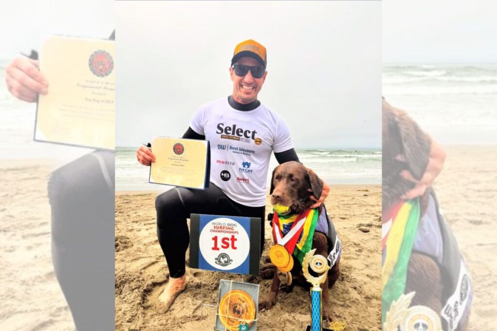 cadela-brasileira-segue-os-passos-do-pai-e-e-campea-mundial-de-surfe