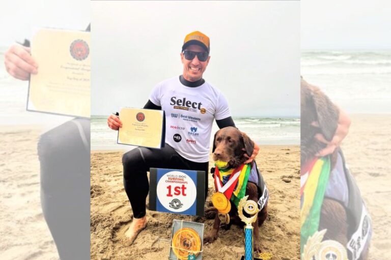 cadela-brasileira-segue-os-passos-do-pai-e-e-campea-mundial-de-surfe