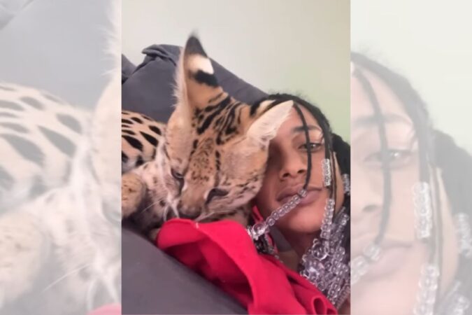 gato-de-luxo:-oruam-acumula-multas-de-r$-40,5-mil-com-o-ibama