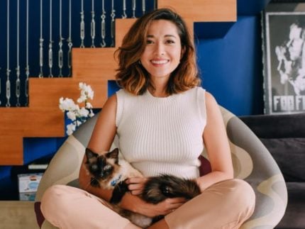 dia-mundial-do-gato:-jacqueline-sato-ja-ajudou-mais-de-2800-animais-em-condicoes-de-abandono