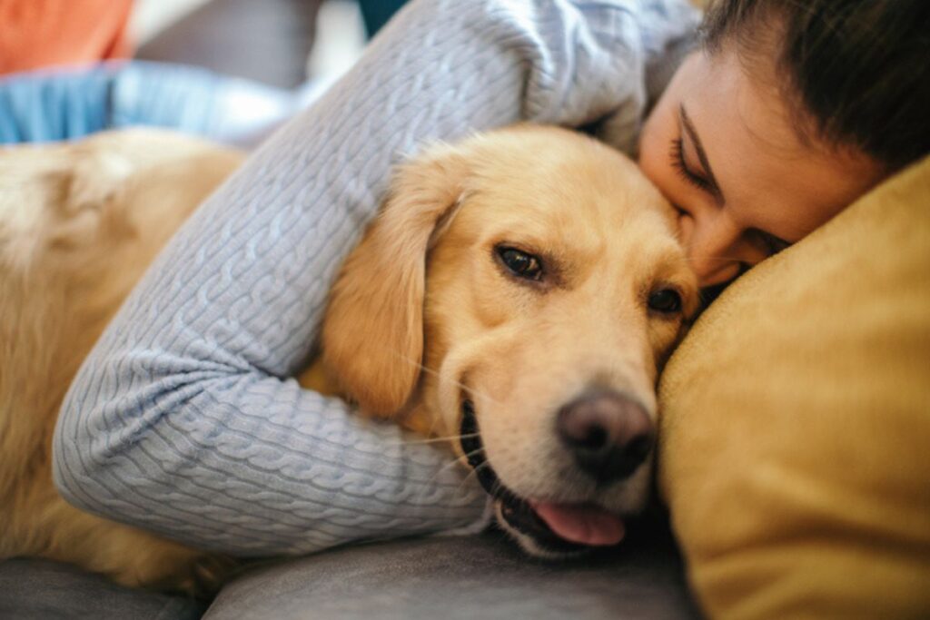 sete-destinos-incriveis-para-viajar-com-seu-cachorro-pelo-brasil