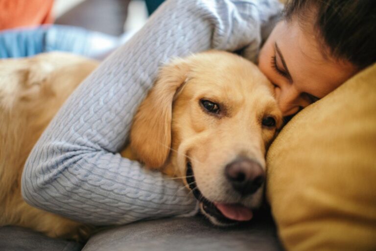 sete-destinos-incriveis-para-viajar-com-seu-cachorro-pelo-brasil