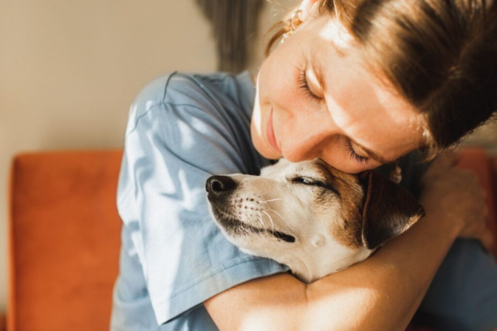 fa-no-1:-veja-como-se-tornar-a-pessoa-preferida-do-seu-cachorro