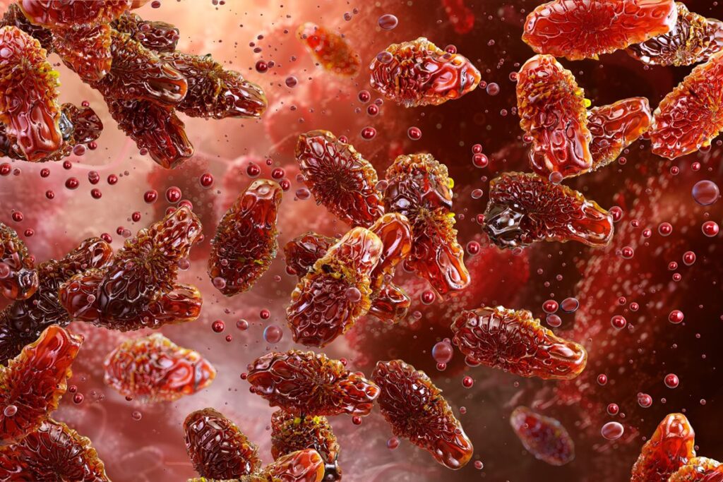 botulismo:-e-possivel-identificar-alimentos-contaminados?