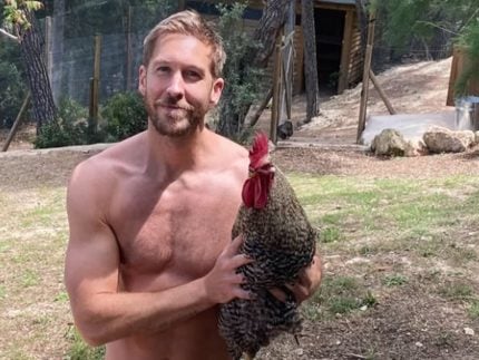 calvin-harris-lamenta-morte-de-seu-galo-de-estimacao-e-culpa-vizinhos:-“imundos”