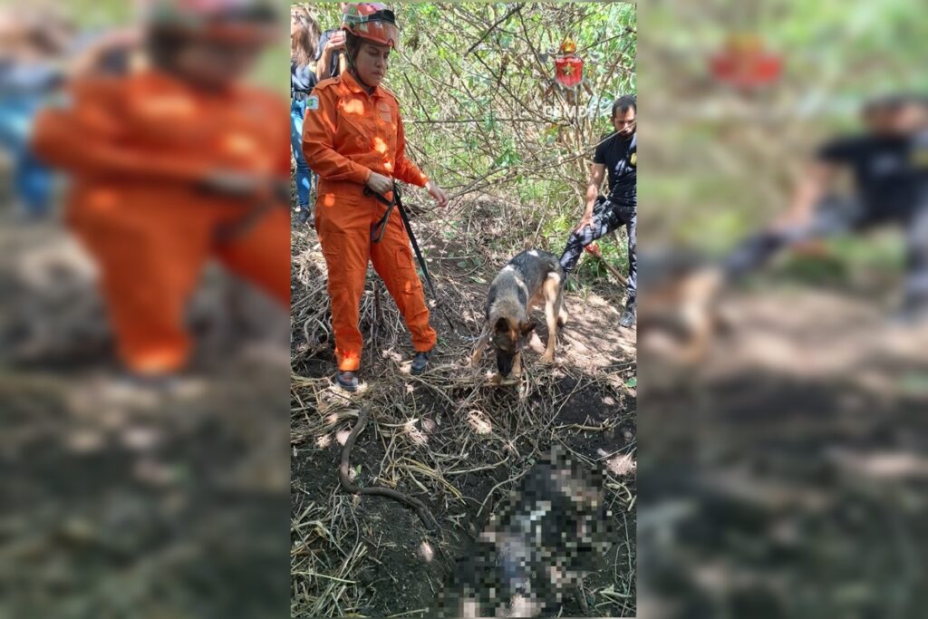 corpo-de-mulher-enterrado-foi-localizado-apos-denuncia-anonima-a-pcdf