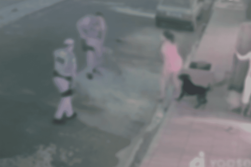 imagens-fortes:-pm-mata-cachorro-a-tiros-em-briga-no-interior-de-sp