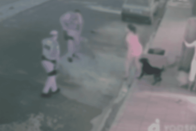 imagens-fortes:-pm-mata-cachorro-a-tiros-em-briga-no-interior-de-sp