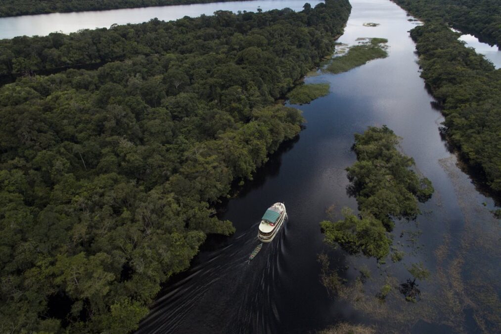 Avanços tecnológicos como a IA cooperam com a preservação do Brasil