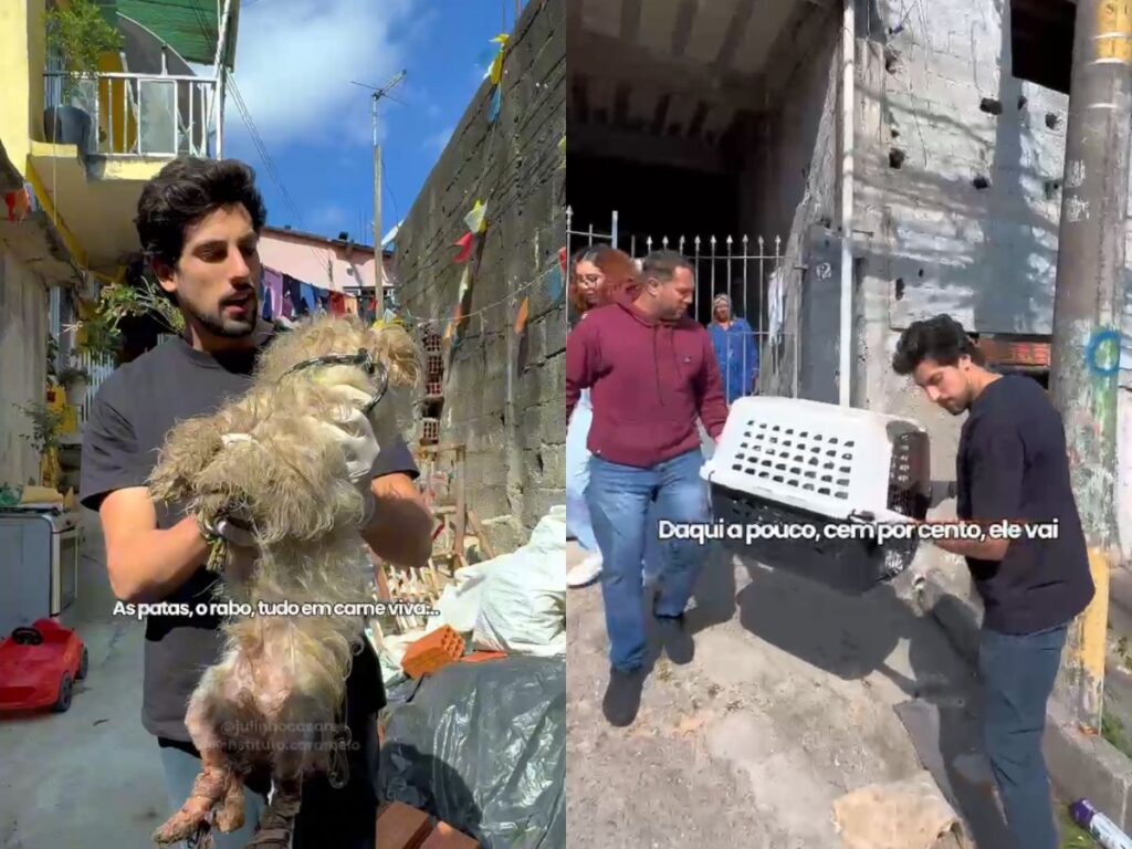 julinho-casares-resgata-cachorro-abandonado-e-ferido-na-zona-leste-de-sao-paulo