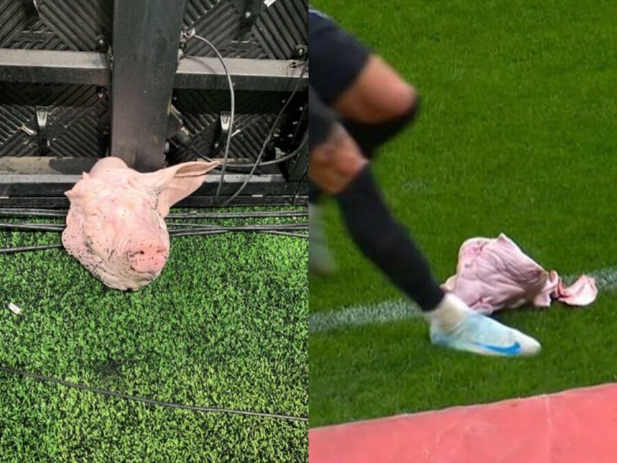 Torcedor é condenado por arremessar cabeça de porco em clássico Corinthians x Palmeiras