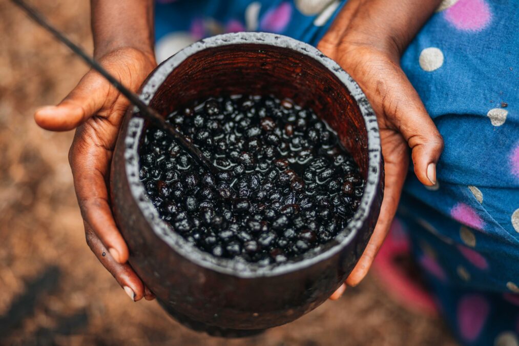 Açaí x Doença de Chagas: Entenda proibição do alimento na COP 30