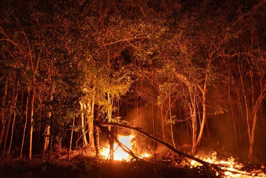 queimadas-no-cerrado-sao-quase-o-dobro-da-amazonia-em-2025