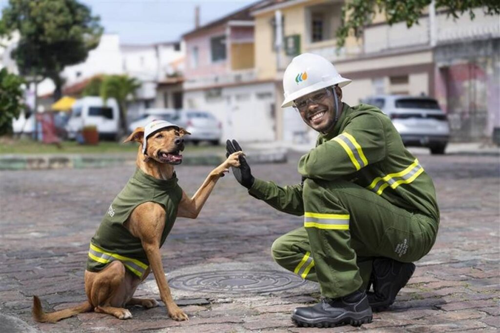 max,-o-“ator”-caramelo,-protagoniza-acao-sobre-seguranca-eletrica