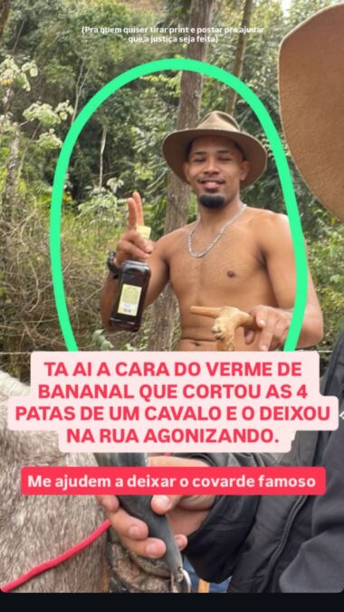 Tutor de cavalo mutilado em São Paulo é liberado pela polícia após pagar fiança