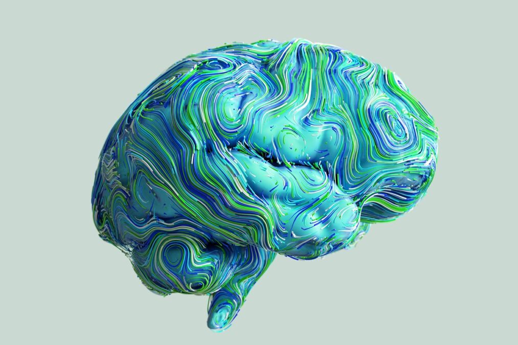 Cientistas identificam proteína que acelera envelhecimento do cérebro