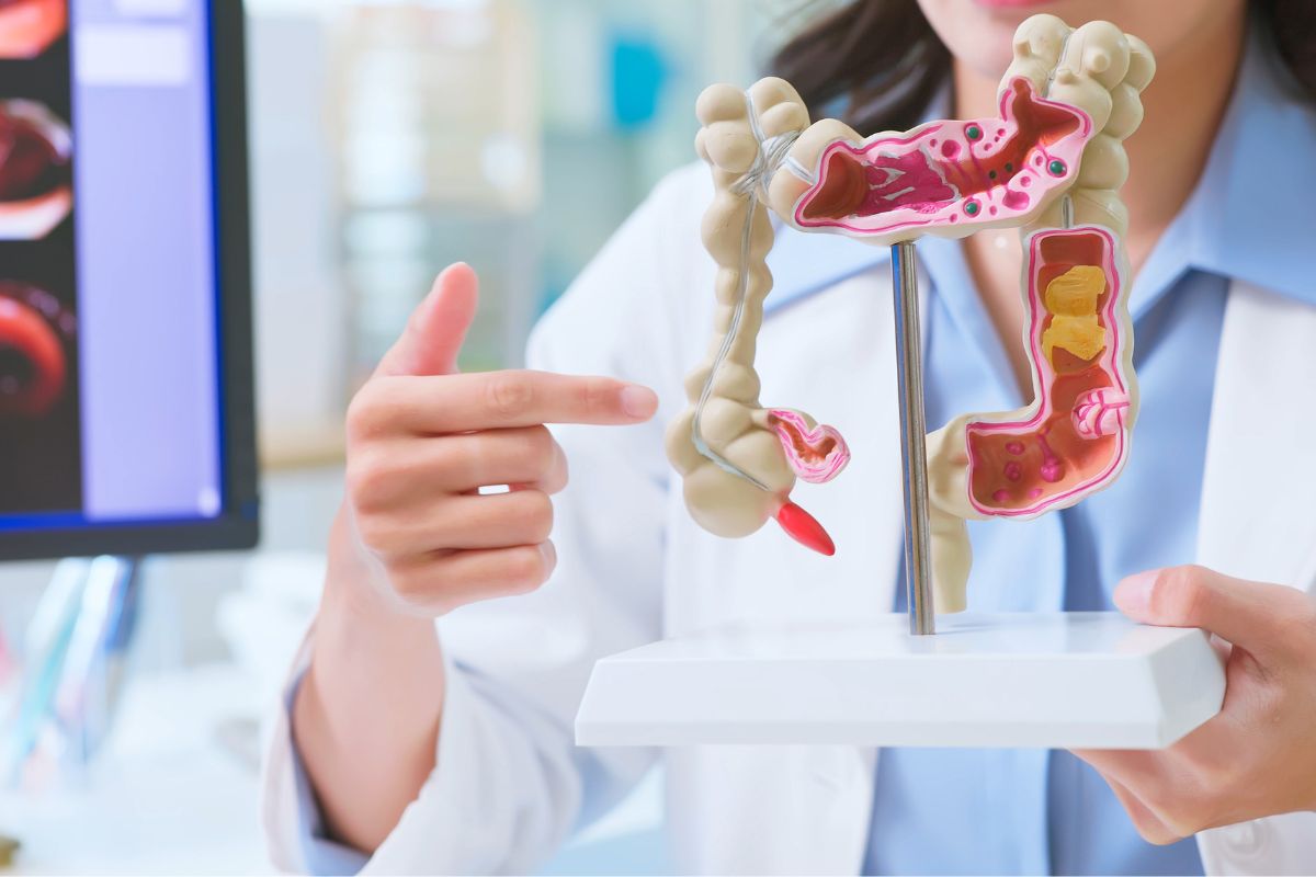 Desequilíbrios no intestino podem afetar a saúde do cérebro; entenda