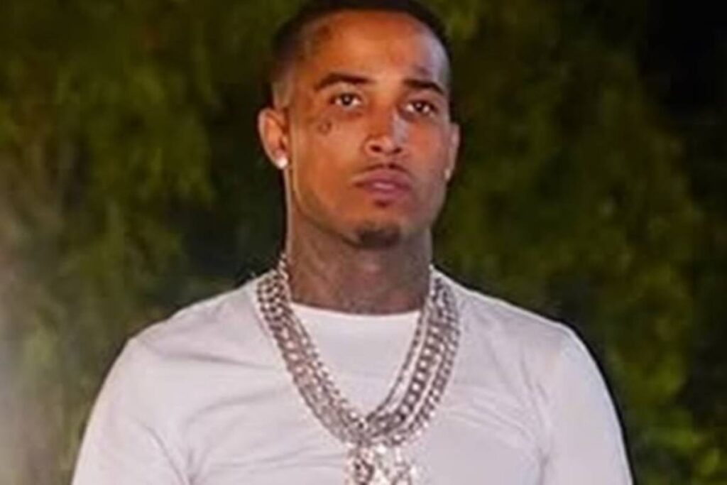 gato-preto-e-preso-em-sp-apos-acidente-envolvendo-porsche