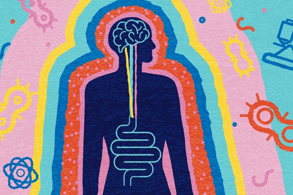 entenda-qual-e-a-relacao-entre-a-saude-e-o-eixo-intestino-cerebro