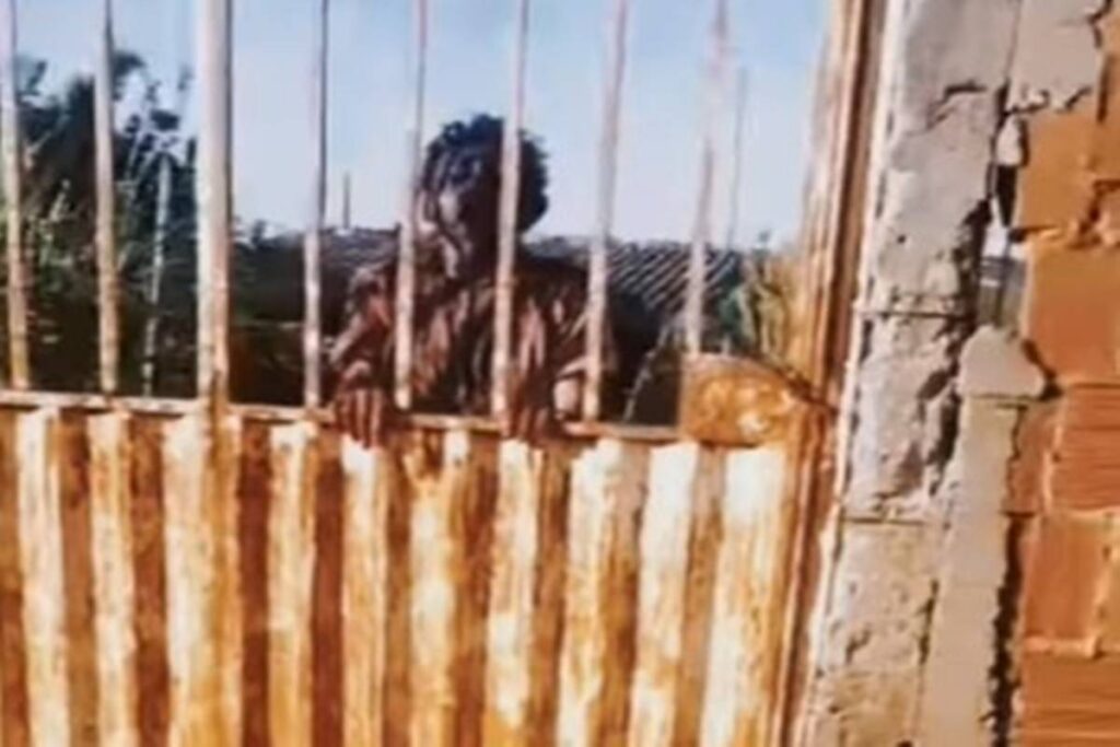 homem-e-atacado-apos-beber-e-fica-coberto-de-sangue-no-portao-de-casa