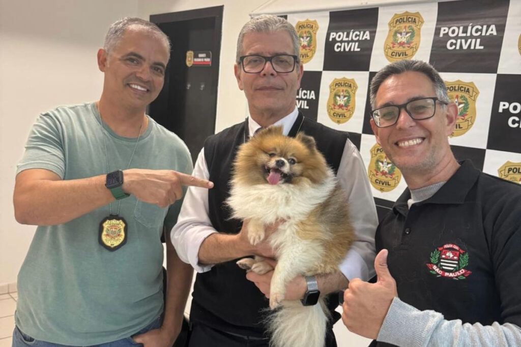 cachorro-furtado-em-sp-e-encontrado-em-sc-e-devolvido-a-familia