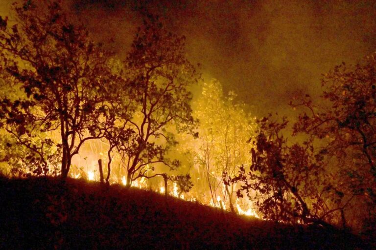 pf-ja-abriu-60-inqueritos-de-incendios-criminosos-em-2025