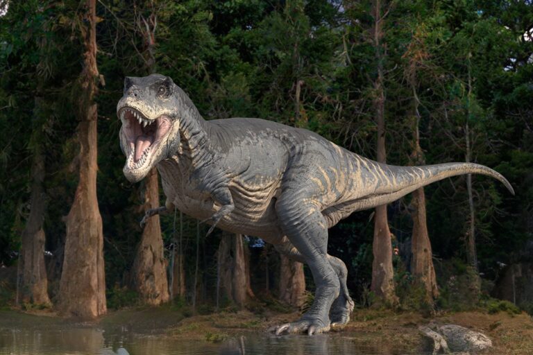 cientistas-acham-vasos-sanguineos-preservados-em-fossil-do-maior-t-rex