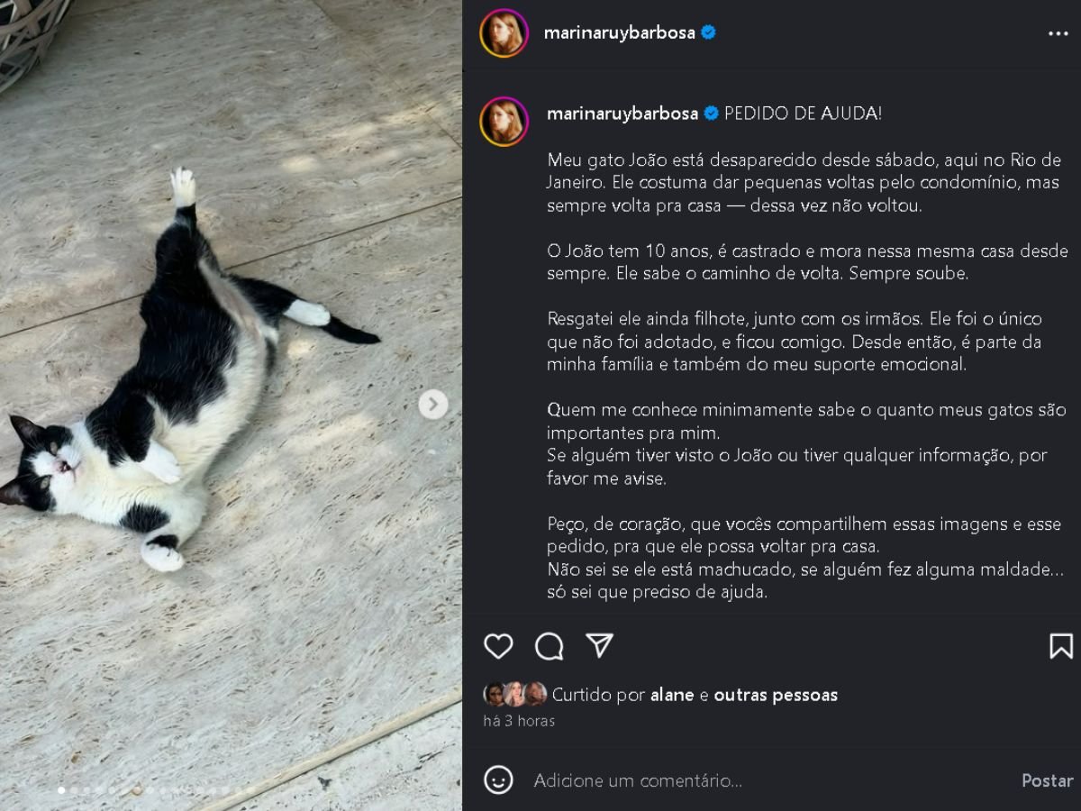 Marina Ruy Barbosa faz apelo após pet desaparecer: “Parte da família”