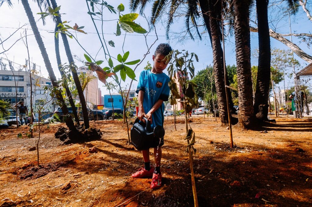 bosque-pintassilgo,-na-bela-vista,-ganha-plantio-de-especies-nativas