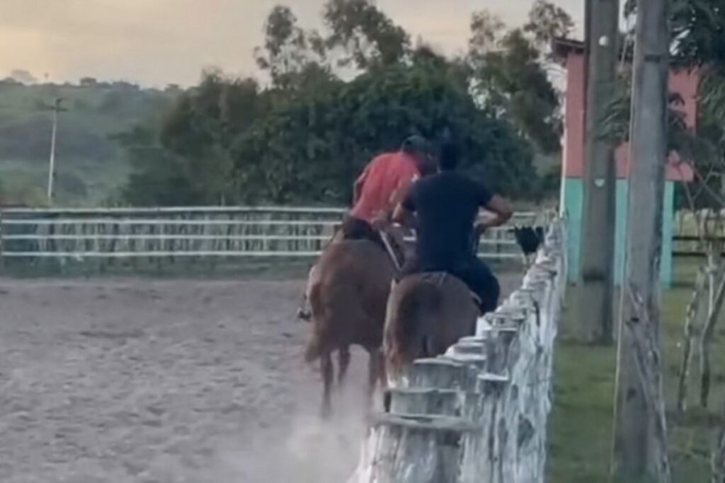 vaqueiro-cai-de-cavalo-durante-treino-e-morre-pisoteado