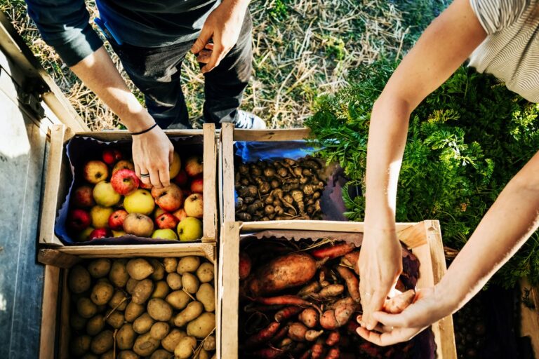 produtos-naturais-e-organicos:-o-que-realmente-funciona?-entenda