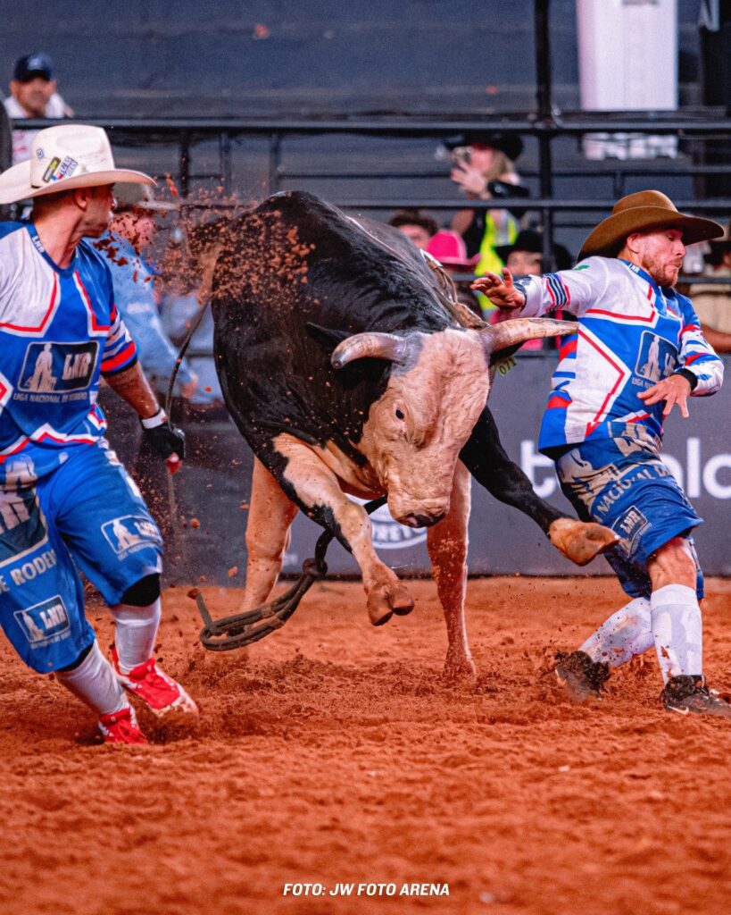 touro-acesso-negado-estreia-em-barretos-com-bom-desempenho