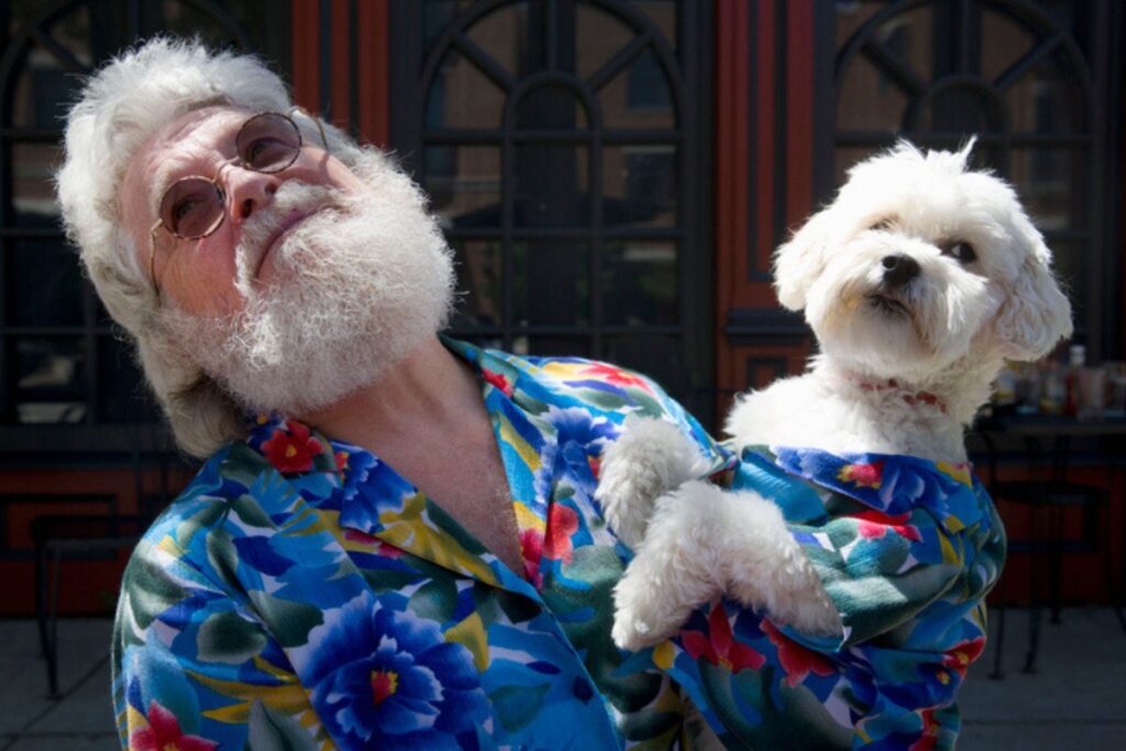 calmos-e-carinhosos:-as-melhores-racas-de-caes-para-tutores-sossegados