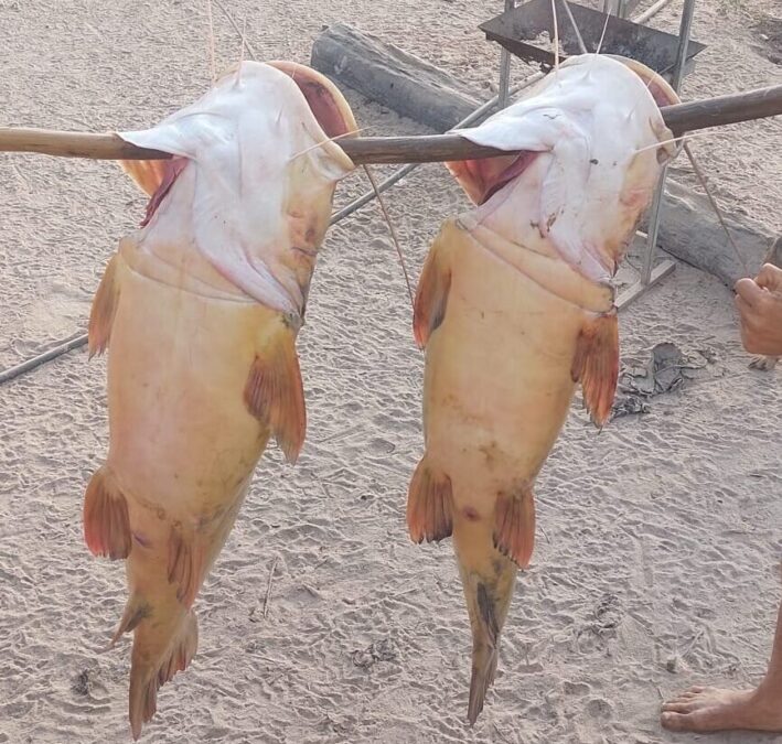 Domingo de pescaria rende dois grandes peixes para morador de Sena Madureira