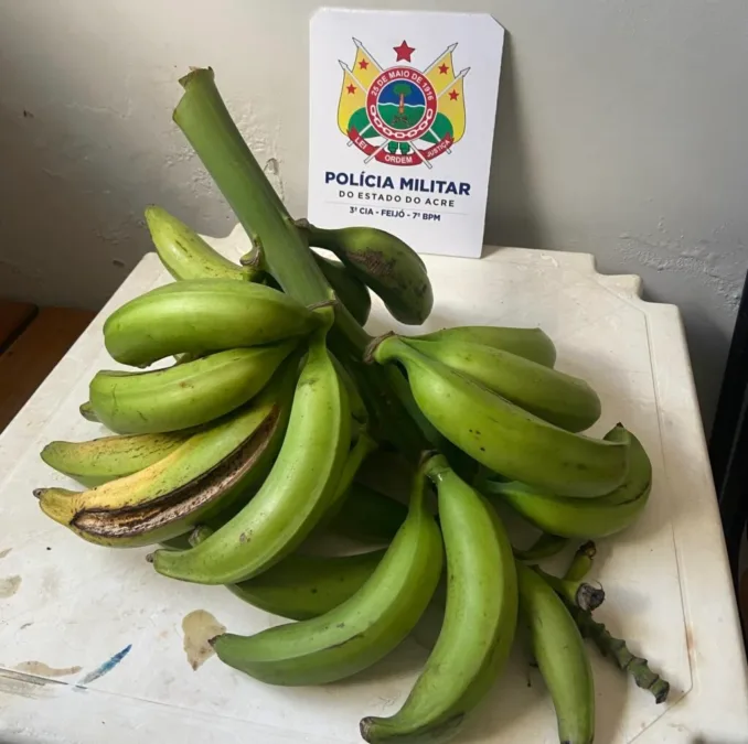 Jovem é preso em Feijó após furtar cacho de banana para vender por R$ 20