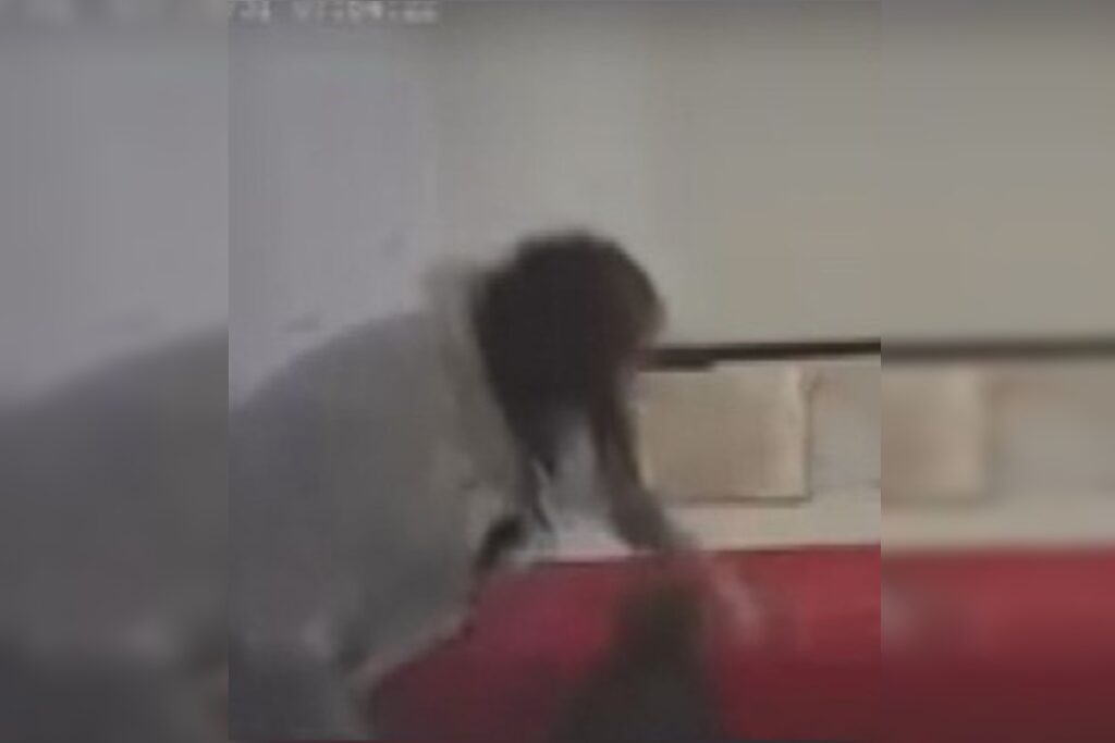 “chutou-o-rosto”,-diz-delegado-sobre-agressoes-de-mae-a-propria-filha