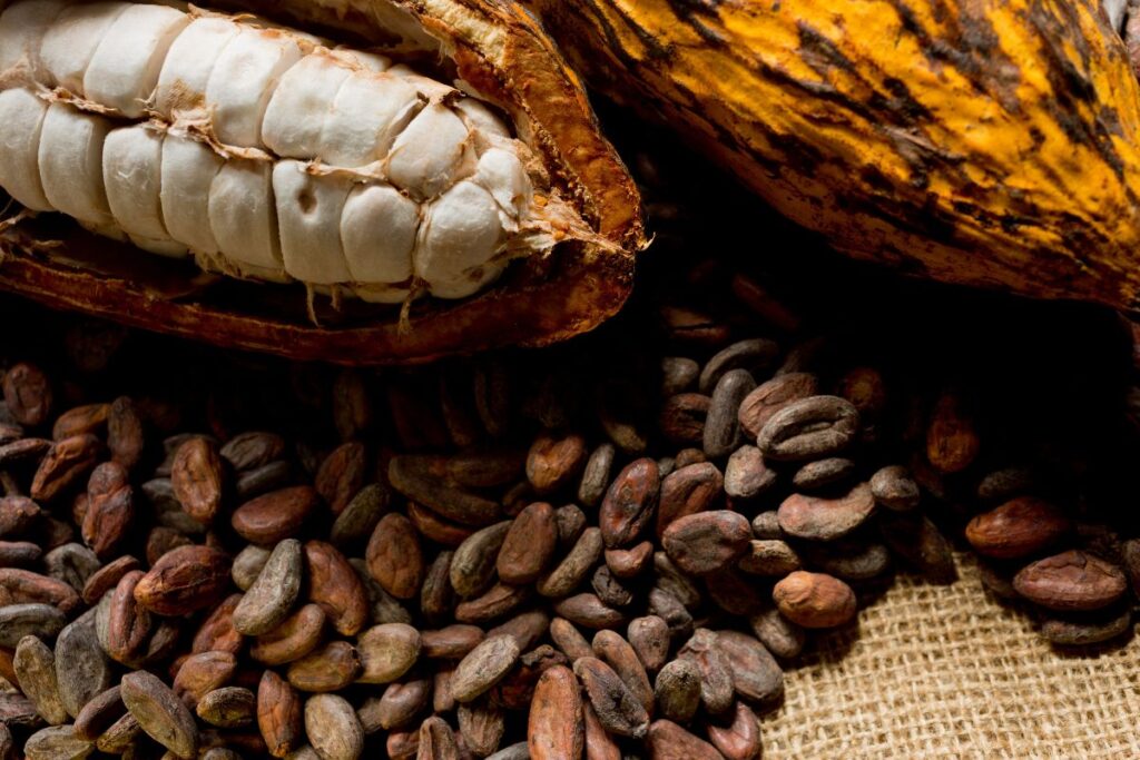 governo-brasileiro-vence-disputa-judicial-com-a-natura-pelo-cacau