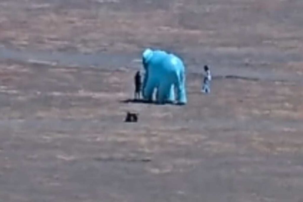 julgamento-de-bolsonaro:-ssp-monitora-redes-e-barra-elefante-inflavel