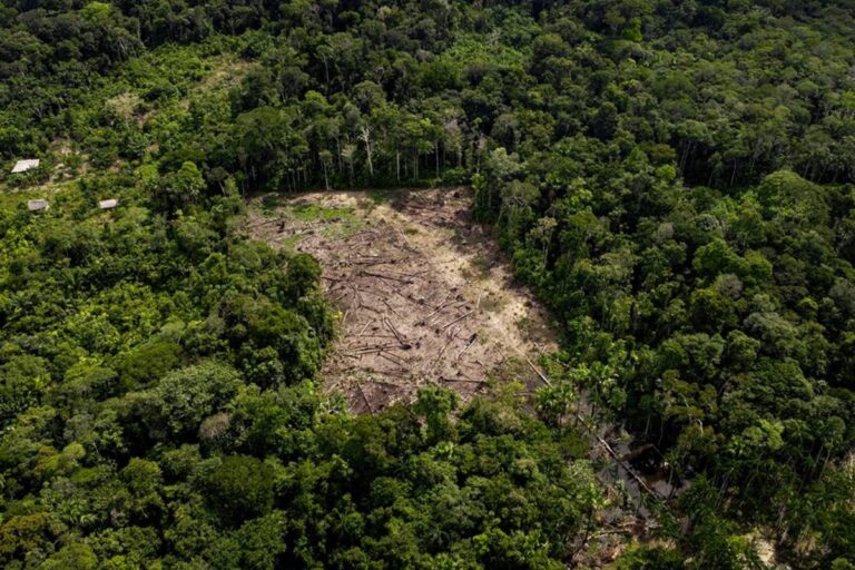 incendios-na-amazonia-comprometem-qualidade-do-ar-em-outros-paises
