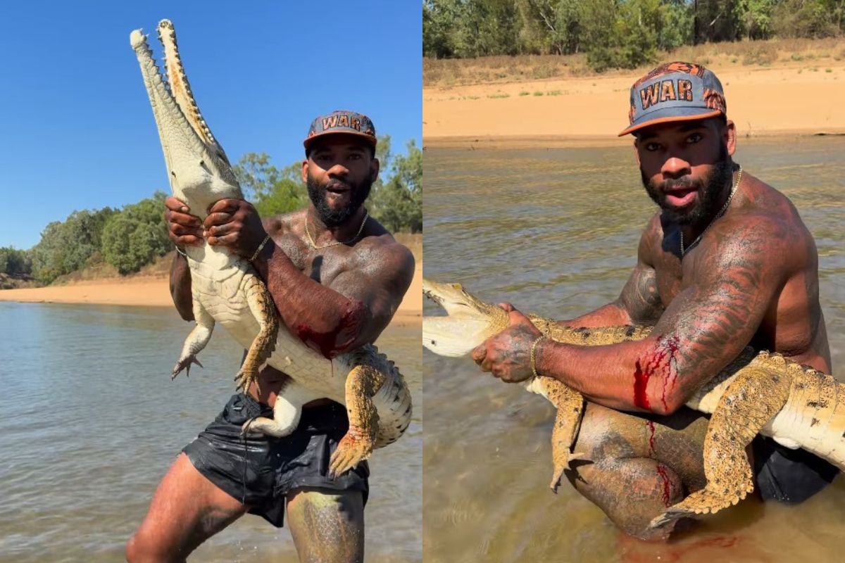 video:-influencer-e-criticado-e-denunciado-por-lutar-com-crocodilo