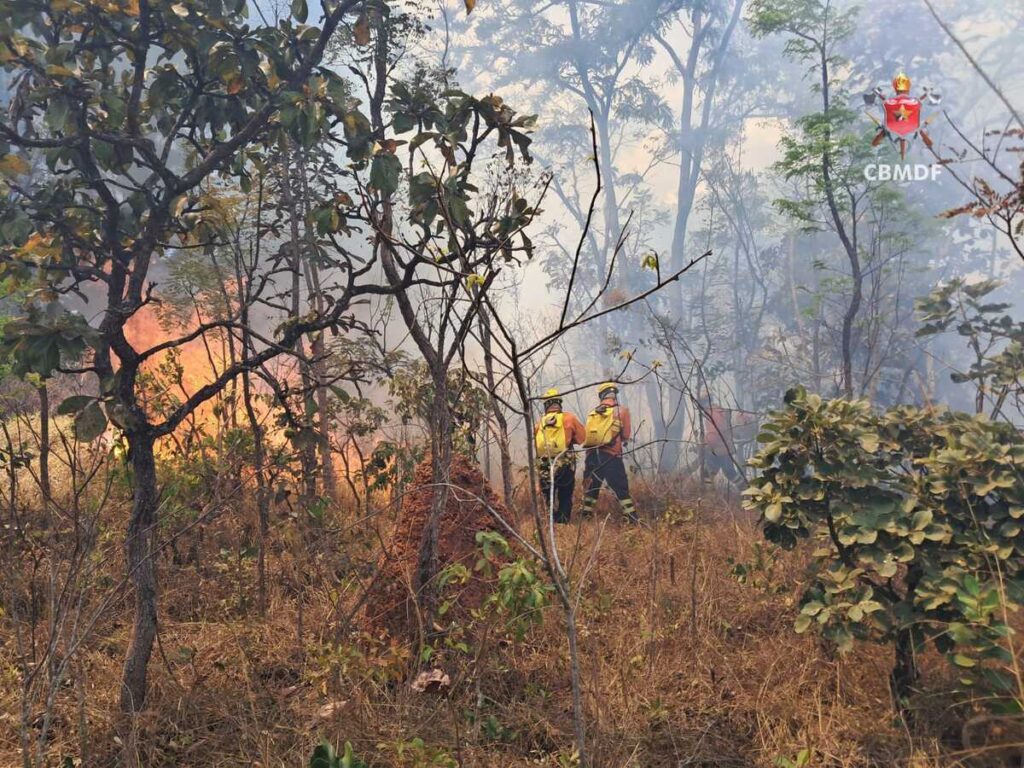 incendio-florestal-chega-proximo-a-casas-no-park-way