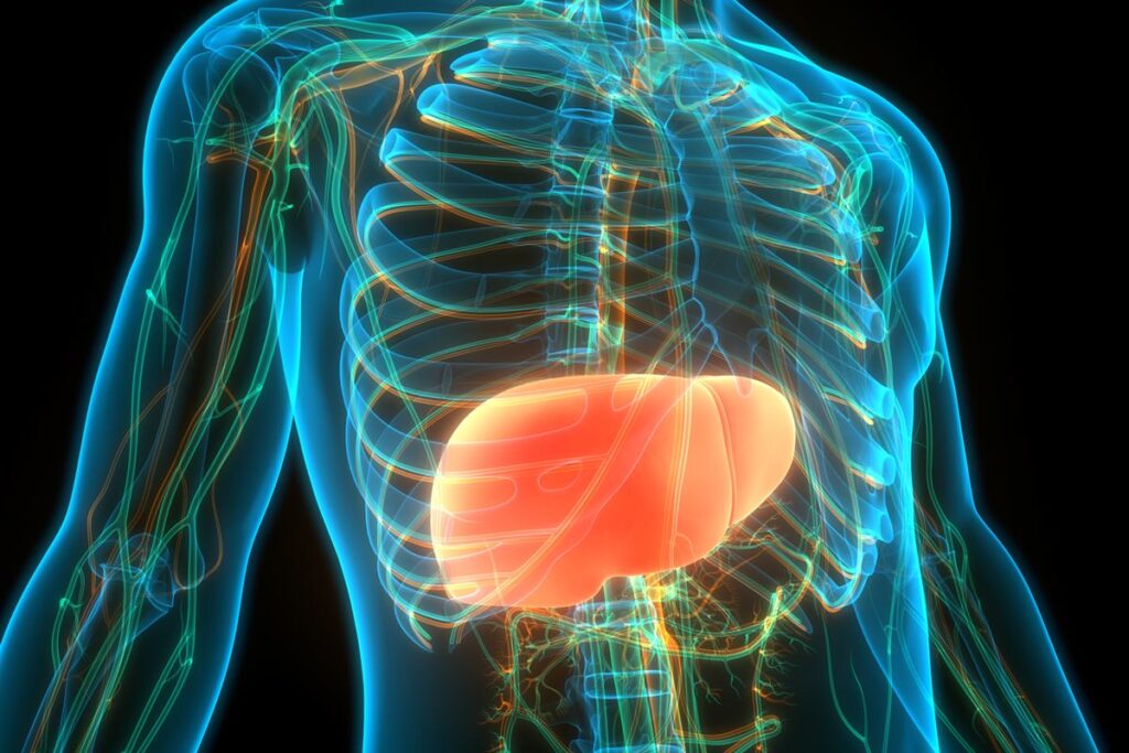 cinco-habitos-simples-para-evitar-gordura-no-figado,-segundo-medicos