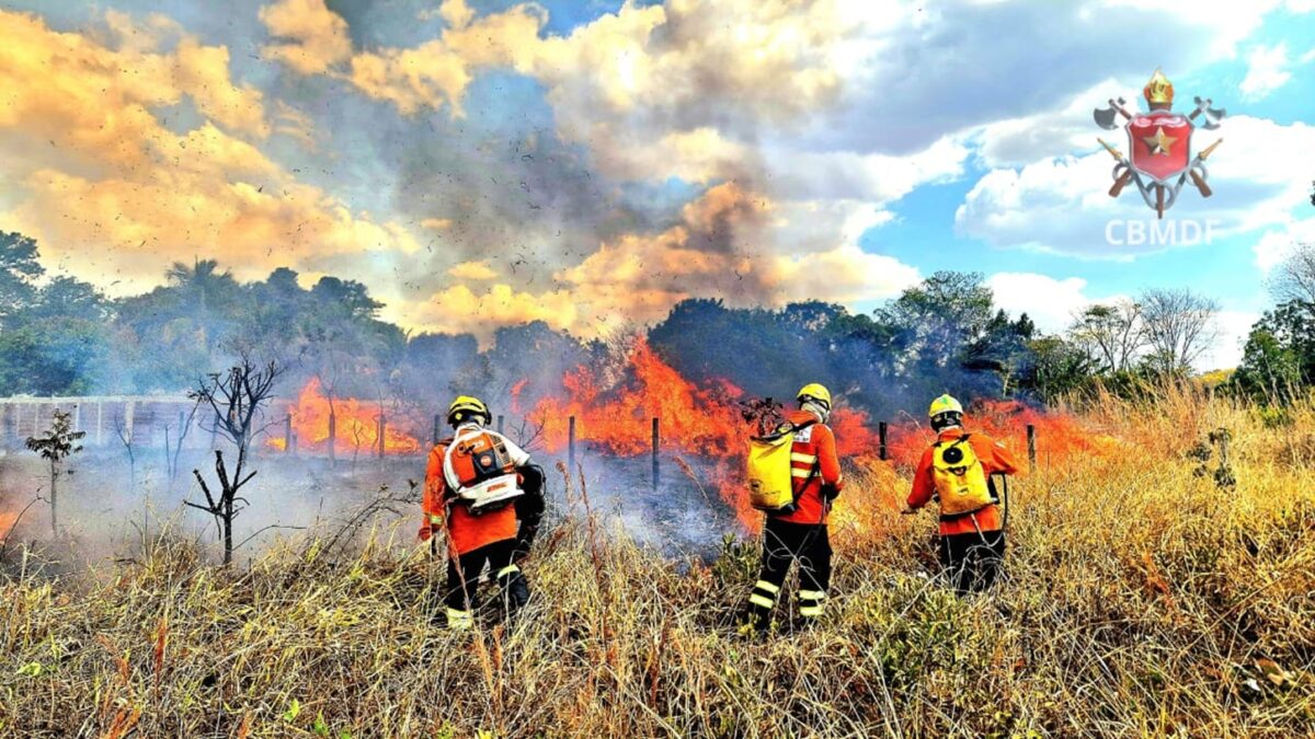 DF registra 3° maior número de área queimada no ano em 7 de setembro