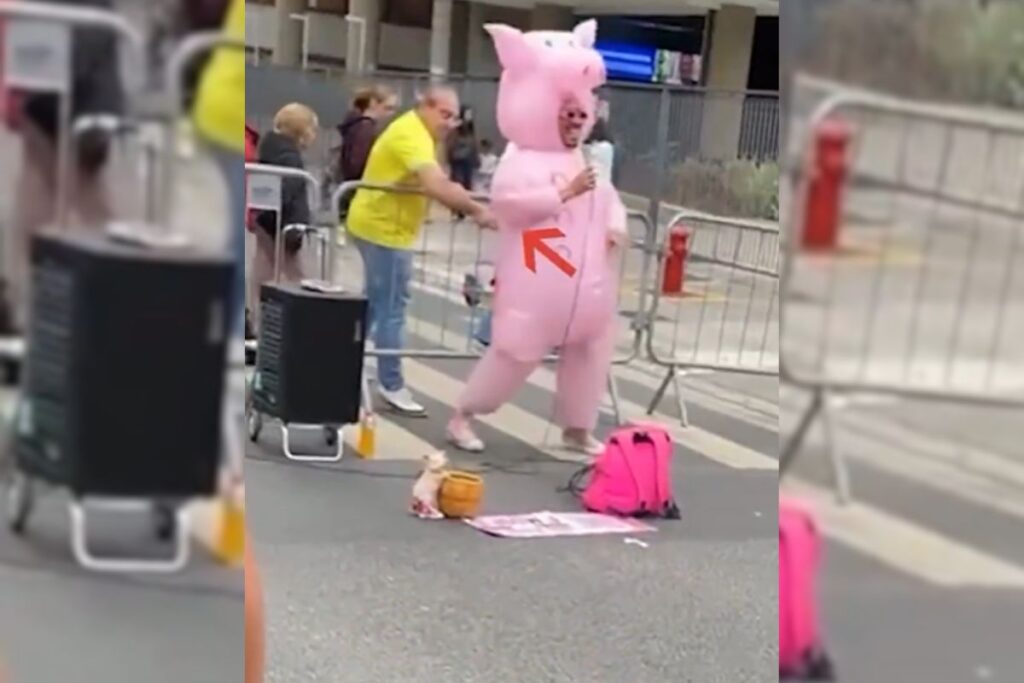 “porquinho-da-paulista”-pede-ajuda-para-identificar-homem-que-o-atacou