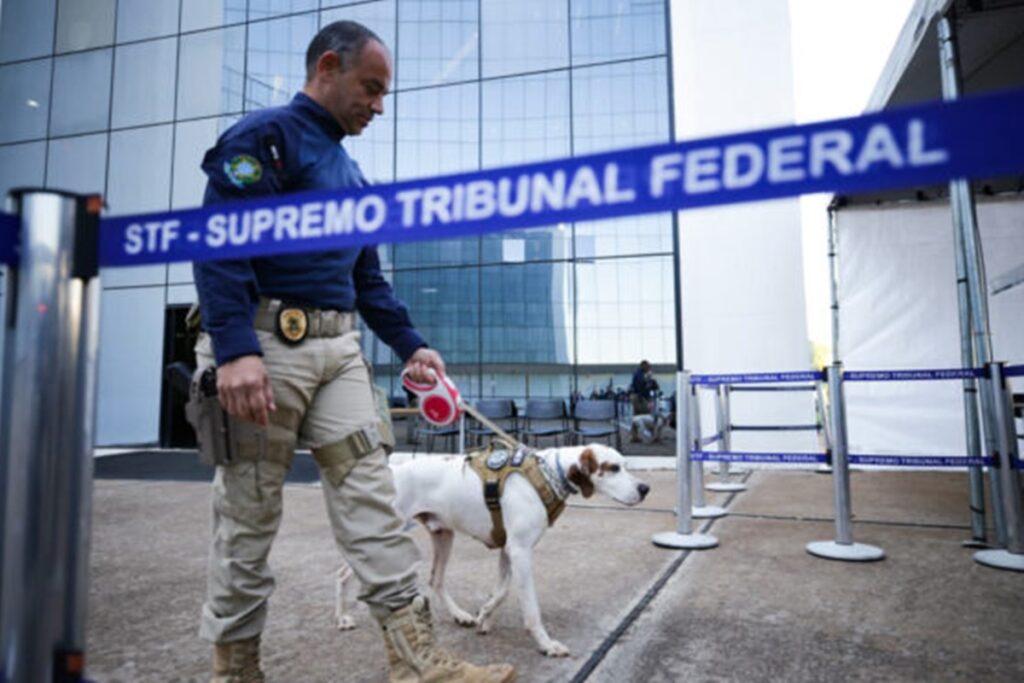 stf:-caes-farejadores-fazem-varredura-antes-do-julgamento-de-bolsonaro
